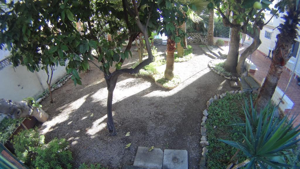 La Mimosa Guesthouse ปัลมาเดมายอร์กา ภายนอก รูปภาพ